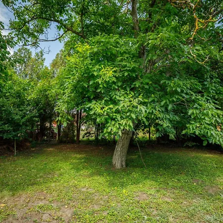 Pinus 2 By Interhome بيت للعطل *