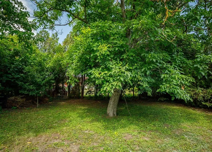 Pinus 2 By Interhome בית נופש *